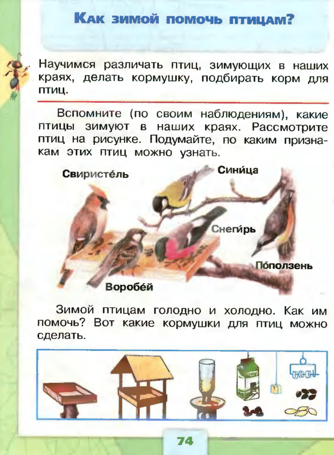 Проект птицы 1 класс окружающий мир Главная